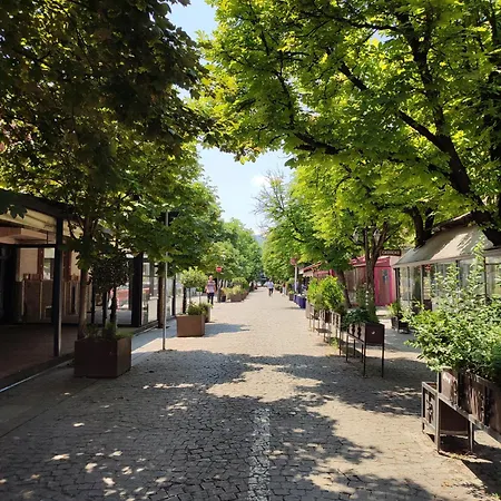 度假居 With Garden *