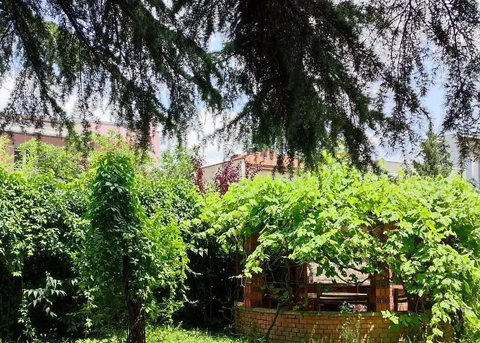 בית נופש With Garden סקופיה